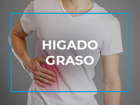 Higado Graso Gastroenterólogos en Ambato Medical Platinum
